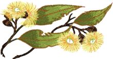 Gumnut flower embroidery design