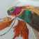 Siberian Rubythroat embroidery design