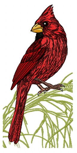 Northern cardinal on tree branch machine embroidery design