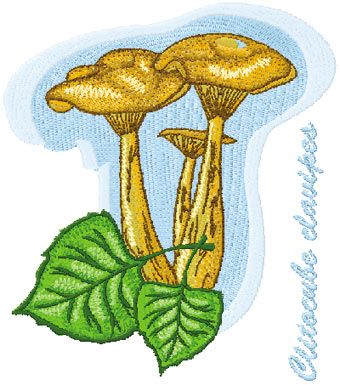 Clitocybe clavipes machine embroidery design