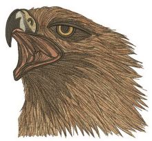 Wild eagle embroidery design