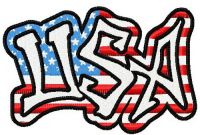 USA 2 embroidery design