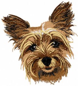 Desenho de bordado de cachorro Yorkshire Terrier