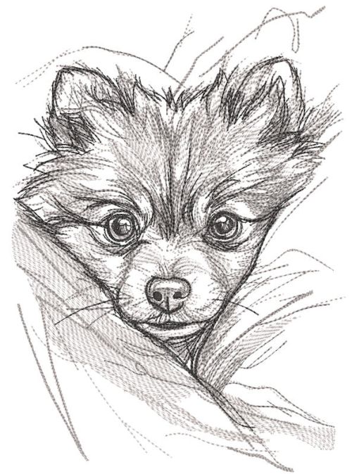 Pomeranian from behind the bosom embroidery design