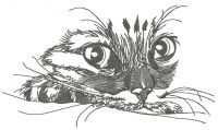 Curious cat muzzle embroidery design