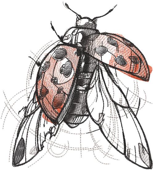 Ladybug sketch embroidery design