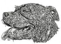 Pitbull embroidery design