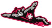 Richmond Flying Squirrels logo embroidery design