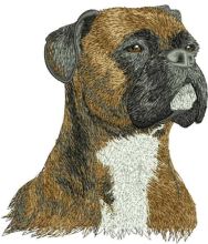 Boxer dog embroidery design