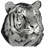 Tiger photo stitch free embroidery design