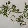 Branch embroidered design