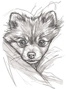 Pomeranian from behind the bosom embroidery design