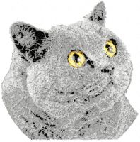British Shorthair Cat free machine embroidery design