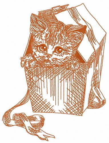 Kitten in a box 2 machine embroidery design