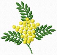 Mimosa flower embroidery design