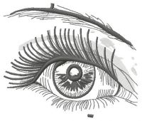 Complete your look 3 embroidery design