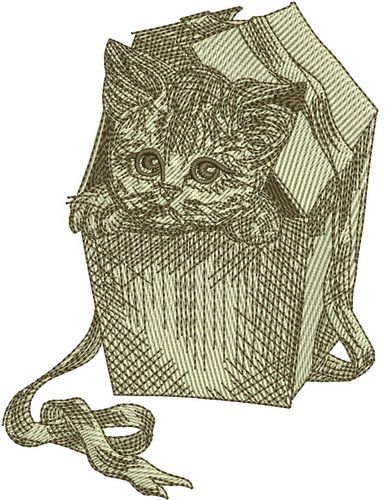 Kitten in a box machine embroidery design