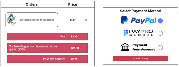 choose payment method