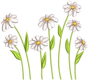 Daisies field embroidery design